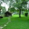 Tips for Caring for Your Yard
